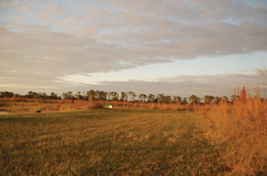 St. Lucie Ranch